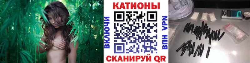 Меф мука  хочу наркоту  kraken рабочий сайт  Сальск 