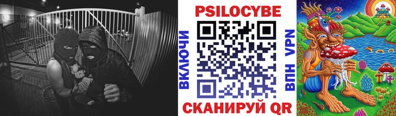 Галлюциногенные грибы мухоморы  как найти наркотики  Сальск 